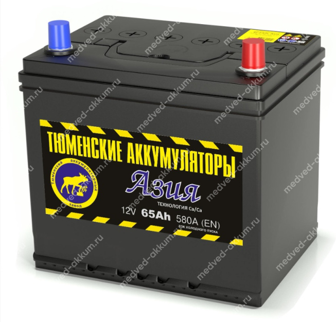 Тюмень Asia 65 Ач обр. D23