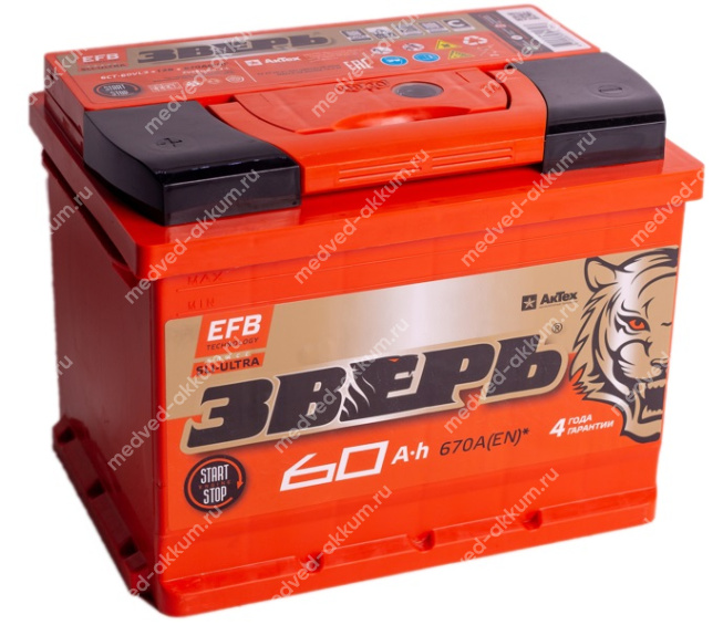 Зверь EFB 60 Ач обр. L2