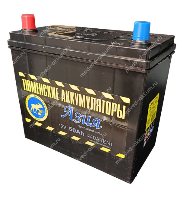 Тюмень Asia 50 Ач пр. B24