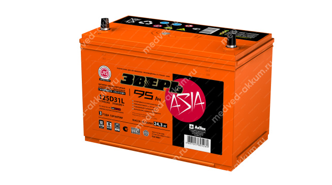Зверь-Азия 95 Ач обр. 125D31L